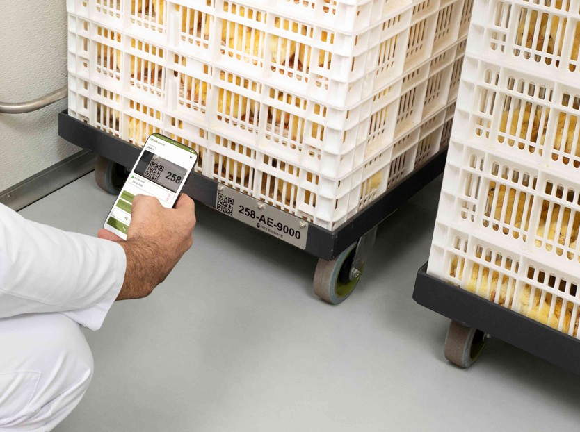 traceability flow in the hatchery 