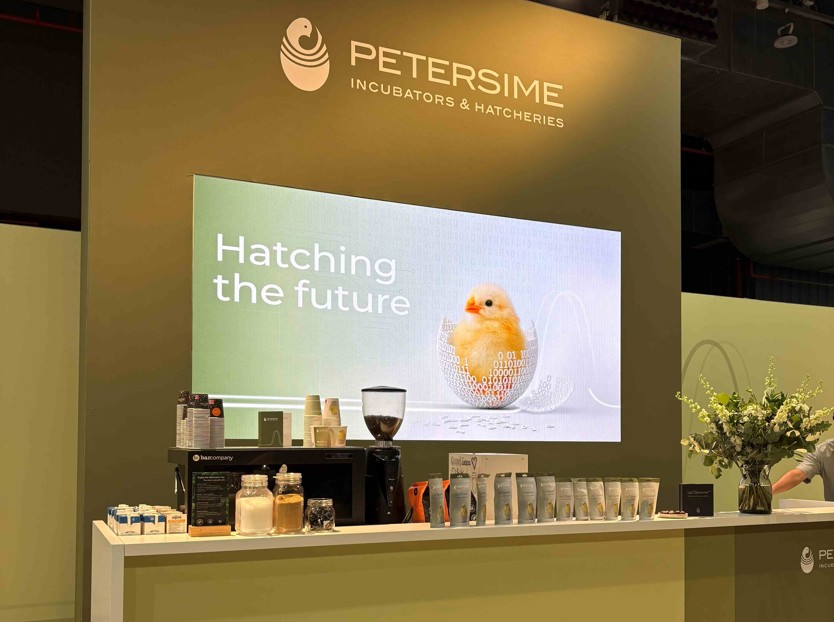 Petersime Viv 2026 01 Summary 