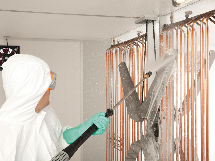hatchery; biosecurity; cleaning; disinfection 