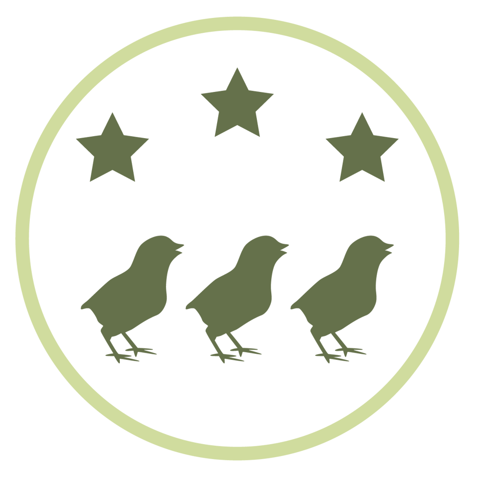 Icon Chick Uniformity 01