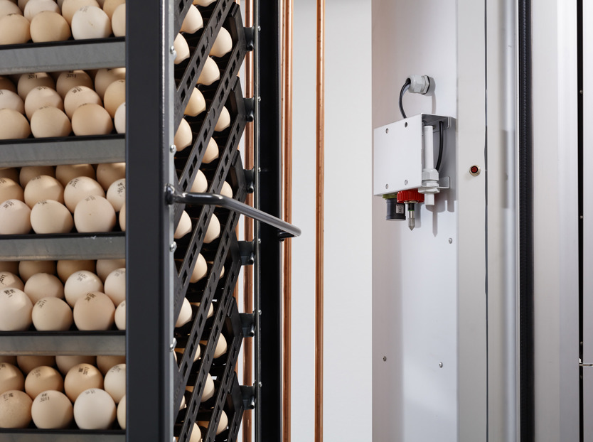 hatchery; incubation; humidity 