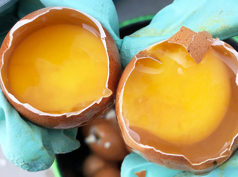 hatchery; incubation; egg quality control; hatching egg management 
