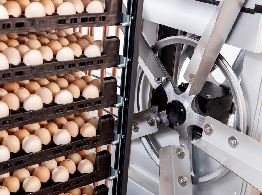 hatchery; incubation; HVAC; energy savings; sustainability 