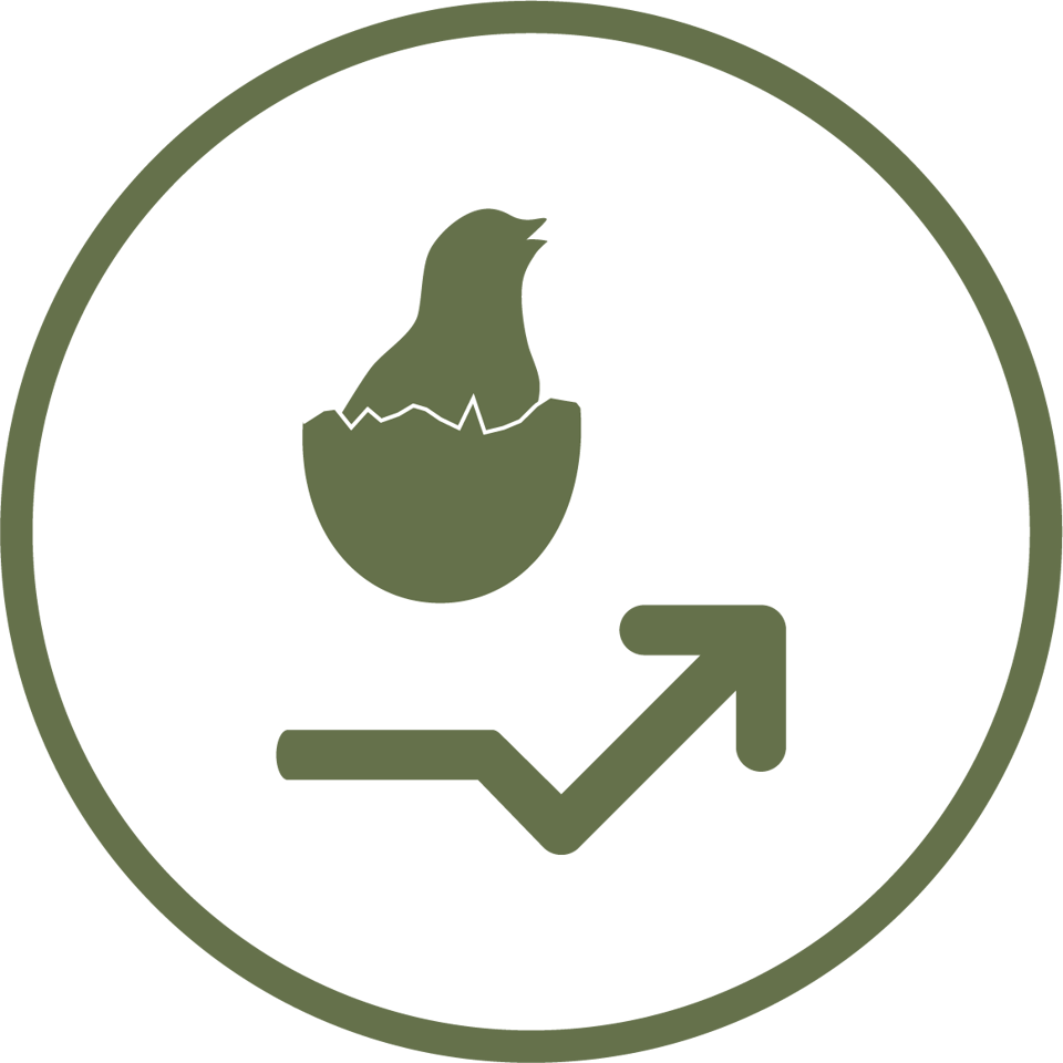 Petersime Icon Restored Viability