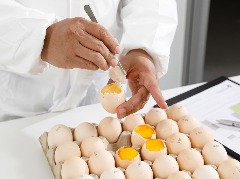 hatchery; egg breakout; hatch breakout; breakout analysis 