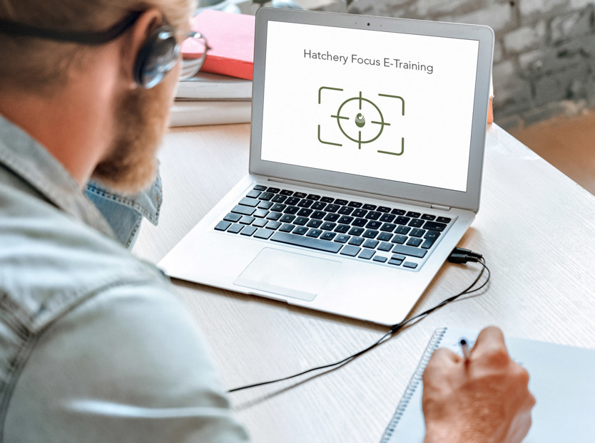 customer service; training; e-learning; knowledge sharing 