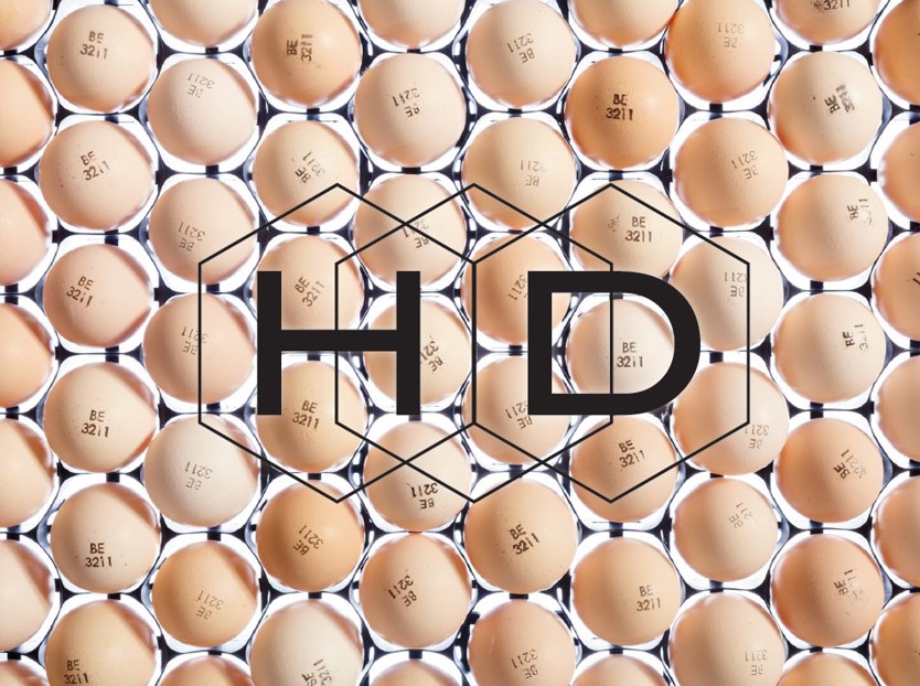 hatchery; incubation; single-stage incubator; high capacity 