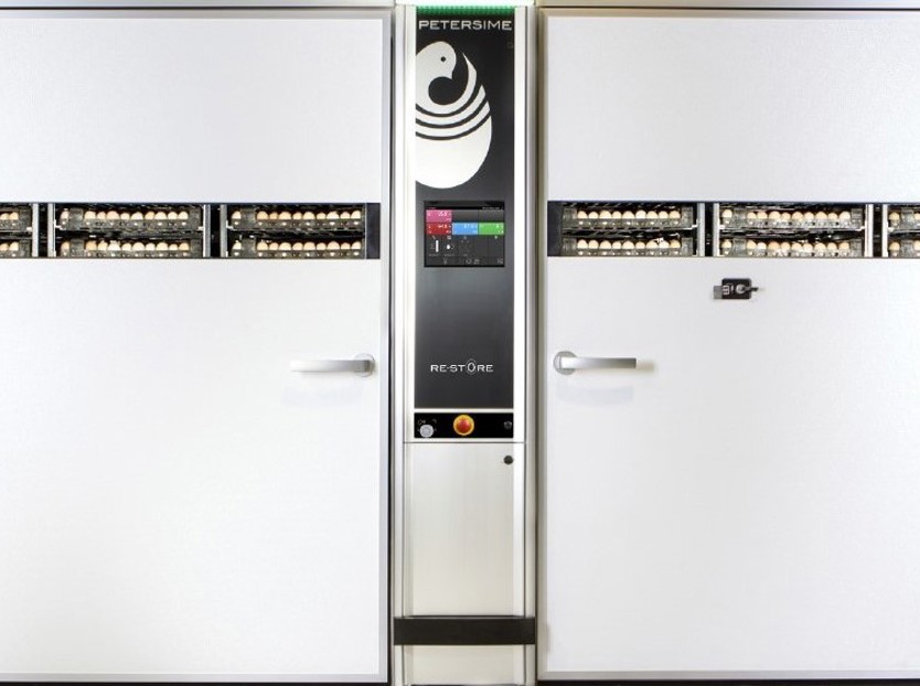 broiler hatchery; trials; heat treatment; SPIDES 